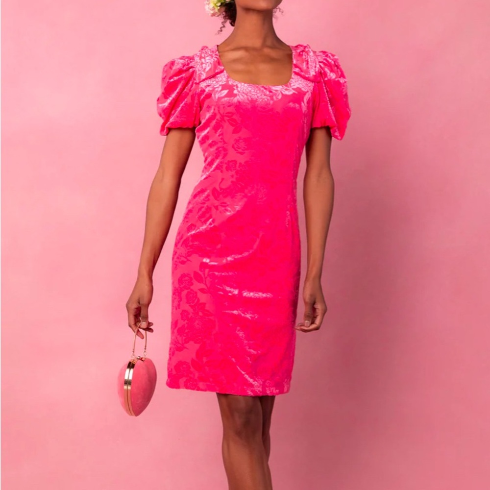 Elegant Pink Velvet Dress
